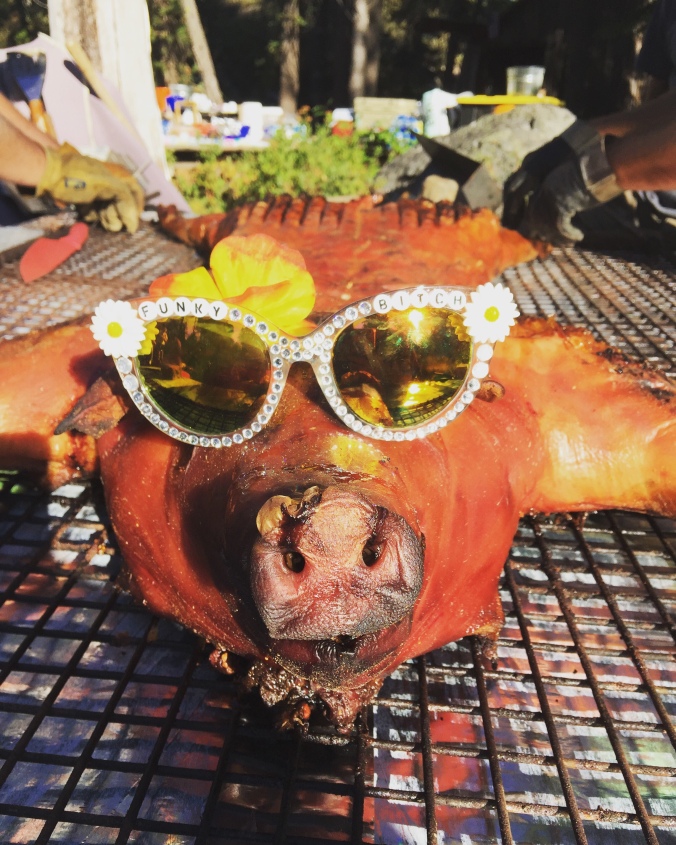 hogs sunglasses